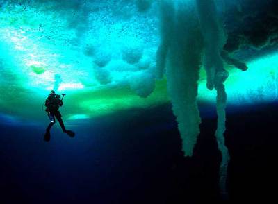 Fotograma de  Encuentros en el fin del mundo. 