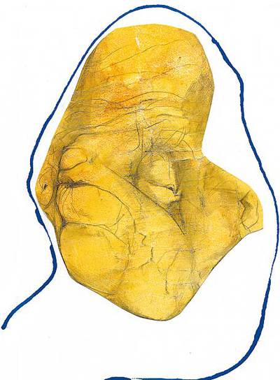 Alberti, de la arboleda al olvido