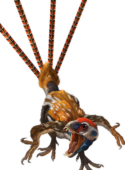  Epidexipteryx  carecía de plumas de contorno para levantar el vuelo.