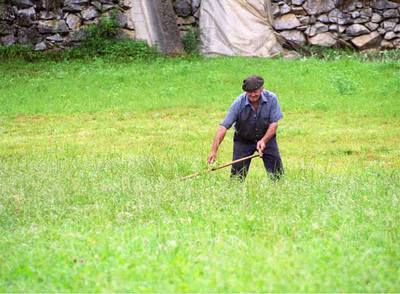 Un veterano  baserritarra  de la comarca de Tolosa siega hierba.