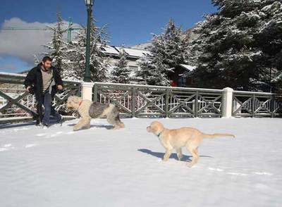 Las bajas temperaturas llevan la nieve hasta Sierra Nevada