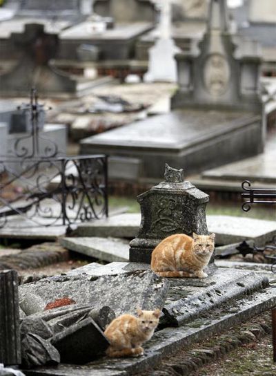 Leyendas para el Día de Todos los Santos