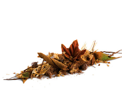  Otoño , una de las elaboraciones de Albert Adrià incluidas en el libro  Natura .