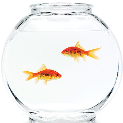 Premio para los peces de Pilot