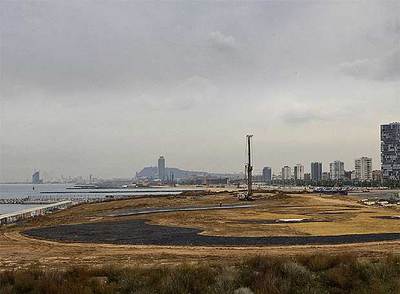 Equipo de asesores para el futuro zoo marino