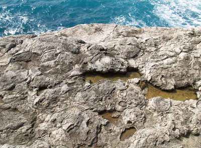 Estromatolitos al borde del mar en el entorno del palacio de Marivent.
