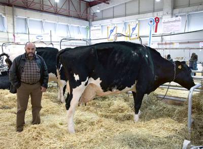 Manuel Francisco Penabad, elegido mejor criador en Silleda, junto a su vaca  Agrortegal Galletera Juror , Gran Campiona de Galicia.