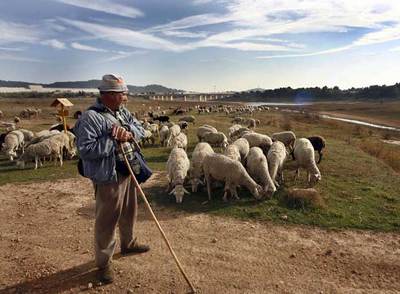 Los españoles sustituirán a los inmigrantes, volviendo a 