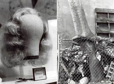  Peluca  (1990-1995). A la derecha,  Verja desde la ventana de mi habitación  (1998).