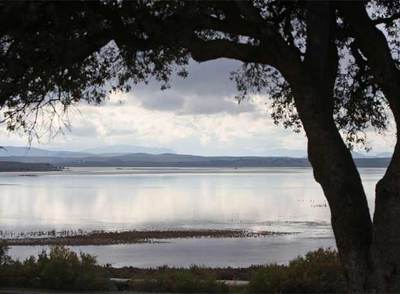 Las aves regresan a Fuente de Piedra tras cuatro años de sequía