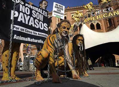Activistas desnudos protestan frente al circo por los derechos de los animales