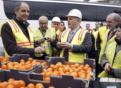 Camps respalda la exportación citrícola a Estados Unidos