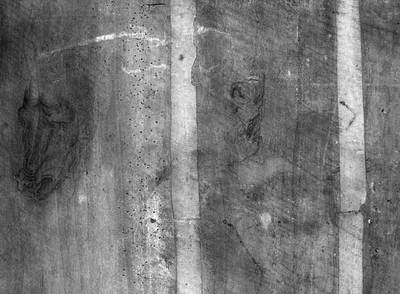 Descubiertos tres dibujos inéditos de Leonardo