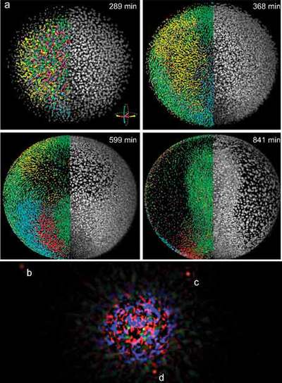 LO MUY PEQUEÑO Y LO MUY GRANDE