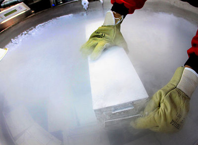 Tanque del banco de células de cordón umbilical de Valencia, de la red nacional, donde descansan las muestras a  - 196º.