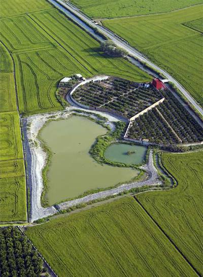 L'ALBUFERA RECUPERA SUS DOS PRINCIPALES 'ULLALS'