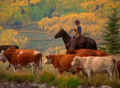 Un fotograma de  Food Inc.,  filme del ciclo Cine Culinario de la Berlinale.