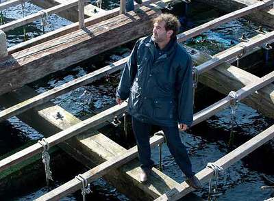 A LA 'CAZA' DEL MEJILLÓN