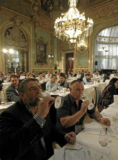 Cientos de narices en acción