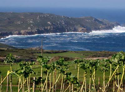 La nueva Xunta permitirá a Pescanova ocupar Touriñán