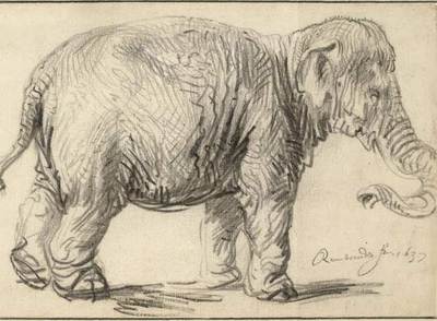  An elephant  (1637), obra de Rembrandt, que forma parte de la retrospectiva de Viena.