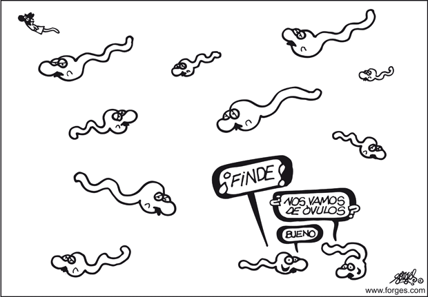 FORGES