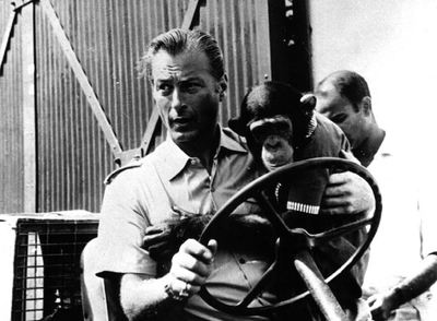 El actor Lex Barker y el chimpancé  Chita,  en una escena de la película  Tempestad en Ceilán. 