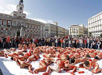 Pieles ensangrentadas contra la caza de focas