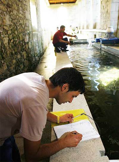 Jóvenes de Proxecto Home en el criadero de truchas que tienen en Cernadas (Val do Dubra).