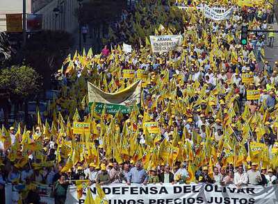 Miles de personas piden en Jaén precios justos para el aceite