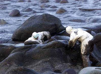Dos voluntarios limpian en el cabo de Touriñán (A Coruña), a finales de 2002, fuel vertido por el  Prestige .