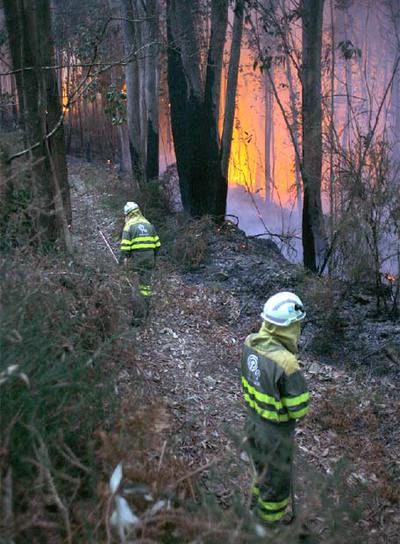 UN INCENDIO CALCINA CINCO HECTÁREAS EN EL MONTE PEDROSO