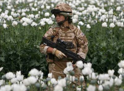 Una militar británica patrulla en un campo de amapolas opiáceas en la provincia de Helmand, en el sur de Afganistán.