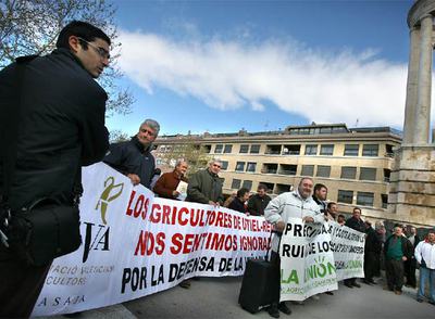 Cientos de agricultores protestan en Requena por el precio del vino