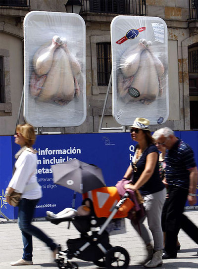 ¿QUÉ ETIQUETAS DEBEN LLEVAR LOS POLLOS?