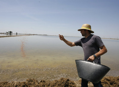 Regantes, ecologistas y agricultores alegan contra la ley de Aguas