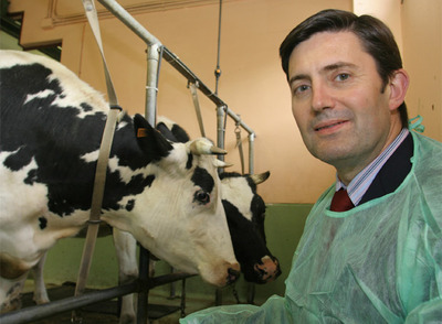 Samuel Juárez, titular de Medio Rural,  junto a dos vacas en la Facultad de Veterinaria de Lugo.