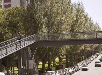 La presión vecinal obliga al Ayuntamiento de Vigo a suspender la tala de 450 chopos