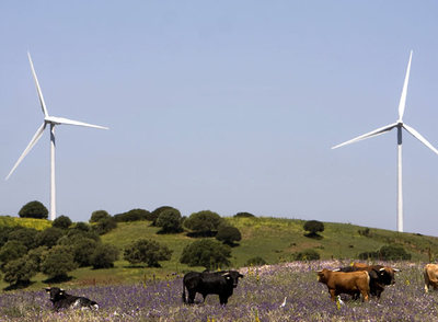El nuevo modelo económico se ensaya en andaluz