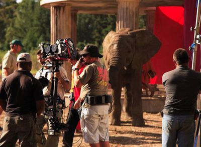 FOTOGALERIA: En el rodaje de 'Viaje mágico a África'