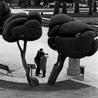  Parterre 02 , de José María Escudero Ramos.