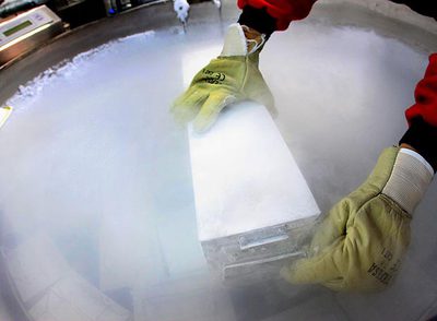 Los investigadores necesitan miles de muestras de calidad. Es difícil dar con el perfecto donante y lograr su colaboración.