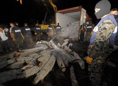 Una tonelada de cocaína oculta en tiburones congelados