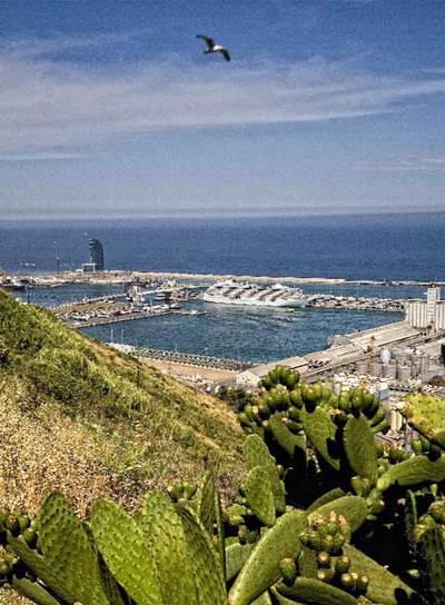 De cantera de Montjuïc a reserva natural