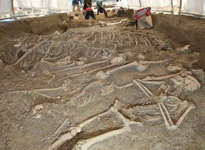 300 familiares piden identificar restos de la mayor fosa