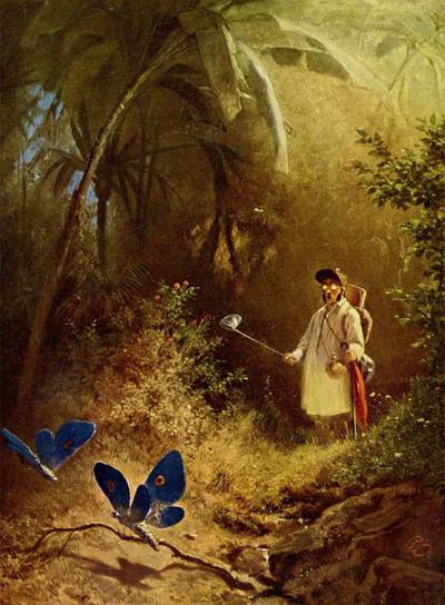 Cazador de  mariposas,  obra del  romántico alemán Carl Spitzweg.