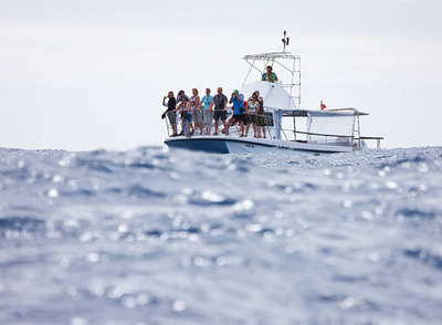 un grupo de turistas  a la  caza visual  de los cachalotes.