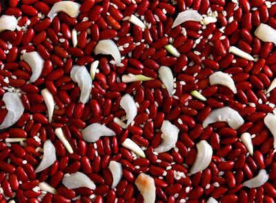 Bacalao arroz y alubias, ingredientes del  empedrao , en un homenaje a Mark Tobey y su obra  The Grand Parade .