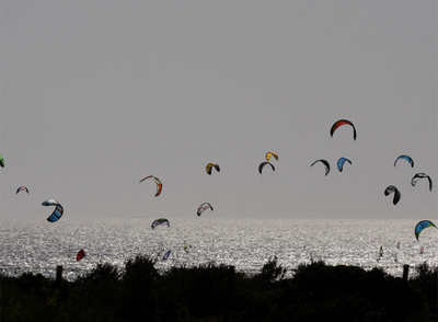 Tarifa, un futuro en el aire