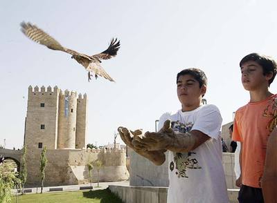 SUELTA DE AVES EN CÓRDOBA